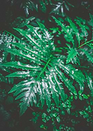 2019-02-25/8e306dd22549d02a6cb14093f3b40455_9a1b6e02a0c0f0047cc1b541240b2e2c