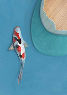 2019-02-25/dfce885eec3e75f7842964e0d1a7d2ef_ed49b6679a0a647f528fe012447a4faf