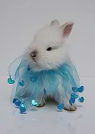 2019-02-26/646d24bf33985cb7e430bf03a956e9fe_b0bee0d1addcc072829e2c91dcef2163