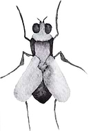 2019-02-26/726571a0f97a014d6b0ae720e63ce0eb_3a4862801e0a380a9cd6165720e9d4b7