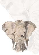 2019-02-27/7ed5f29995d0b1e124d5dedd19b6aff2_71e70a06672138fc1facfade29ecbded