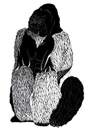 2019-02-28/641fd1138dce65d921330cfdbf203f00_32c0f4b69a7b18bb334028f228f87301