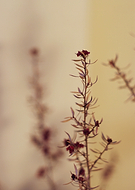 2019-02-28/9ee3c077724d0e2fadd190a1a41a13f4_2ad1ac368769526a99267e567f9ebc9c