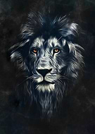 2019-03-01/43e809ca22827dfb3c1f1cbaca64ecaf_4c05f7d53c510558a101145cb102eec8