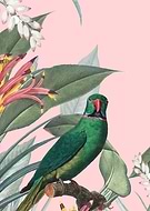 2019-03-02/3d1ddb1ddd41d3337242752a229c6734_67c874f697d237fe80e9ea48b495347b