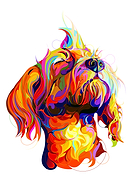 2019-03-02/6c31c7874e50c331f3f859fba5ef5e76_4a22ce015f0a69c9125b0ea8cf6e732c