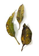 2019-03-02/c72f8d21a42b75dde0564a63f1301e67_f7b69bea48f36d2356d2707225fa5877