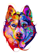 2019-03-02/cd93fb9d7078a21464d9fffe56983406_80929095aafe0017e27969468f9c5acd