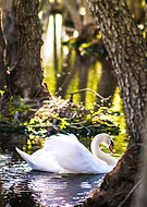 2019-03-03/7f84ce0d9bc4fc1a0260ea6cb11d9780_1a6b95b7c525e6342f42dbffb26f6ca3