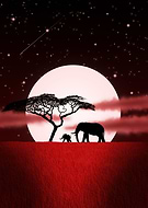 2019-03-05/8ecbb91b63df5c8e0d06c83f18500934_19536fd47f6c96310da22f9884b260e4