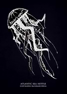 2019-03-05/d432e4f6384b85ec706a8300cc8ec0e7_eaaa961d942a18638847d91155c6bbef