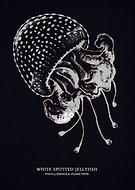 2019-03-05/e5262e3b7f9a7842440bcfb9490f71a1_852a98a643cf3ec26b31741c1b84b125