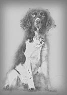 2019-03-05/f7b095c849ca49d8bee5fa78510d7302_a09527e6e764f99e5041081b4dca8833