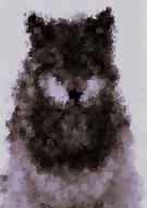 2019-03-06/1a843b3d17987cc3d8e05d76ddf87c1f_7f62a2b3fd62f37920706a3566652515