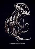 2019-03-06/7d4cac2e895f601b08de1e28facabdc9_45472e71e8110a7d8f5c3720b6176980