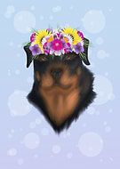 2019-03-06/83de2a404bed7023da2d601f1a1cf8ed_14a1c780305d28fc1e02d4a7f7613183