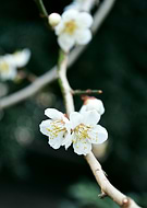 2019-03-07/071dfbbaccebc49baf1dae5f7c3a6ecd_3d449c958edc71c8df38f159815b251d