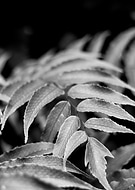 2019-03-07/8c77c083caadf82b2b6cc635a8a544af_3dc723a9ccb3507ee875e6744888e3fb