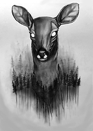 2019-03-08/a58ff5364c2453da15c8fb823043b70e_36280abea0758b80c85189cdf49040a6