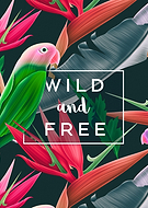 2019-03-08/ce4e14a462ae94e8555cacd7ff694a09_a0853abab047d5f68c8a18fc943d1c23