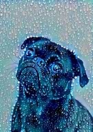 2019-03-09/ae112d9af48f7237b7045a04edd111e0_f2054d94ab2d91c50d21d306c348b96f