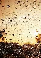 2019-03-09/cfecb21d60b62e27760407c3937ed954_5a1315db4bbcb0b6eb334600aed3d111