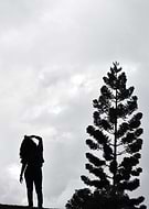 2019-03-11/9d7d4d7e3c141d73bbf3de5e947cd42b_af0946ec004e8d907f5629e9d27db100