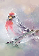 2019-03-11/ca5ec71163afe1823c69384bb0f6d77c_d7b73d41f24a16b1ee51550808173dc0