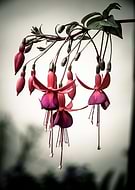 2019-03-12/0f22c4d48506bbff4eeb9c2e1b16dbf3_6c8a479b69b3b46e88b2ef9594f9acea