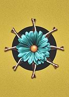 2019-03-12/3de07097454b63b3d39769d9fea7a355_65ebd585048bb8670c8d6ad971539a47