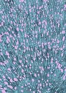 2019-03-12/ccaeee8d690e0fcf11c9963bd1305e7f_4bea7e385c74c6d99df931092d6aa48b