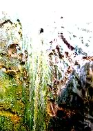 2019-03-12/eae50b8b6aa6e278e2943312138892e7_7d9ed8eae8efa89bb0f6ec1eff969b9a