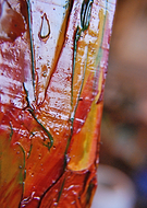 2019-03-13/b9ef5c4cefac5e3408c1576c0ee3d114_0cc281e3d2a74c9036d5621a0e117724