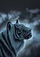 2019-03-13/cf400c85e984308bf99368045a05b1d2_0fc8d614d39ac76f8921a5d4812d4f56