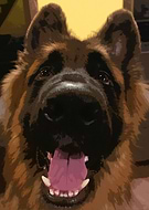 2019-03-13/d86bb21bdc1c6912bf8ed1ad18ee00d7_d14fd2a1079577c96eee65eb580ad597