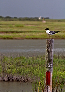 2019-03-13/fc52862bec4720257dd5b5f0bcf22005_3b88f56f756651dacb63e872065e395f