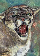 2019-03-14/02a2c5cc7f5c9275bf25b1f50c9fef5a_2373a2d4d3811156a54322fed120483a