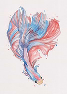 2019-03-14/68ca02d7ed981a2d0e1058d368b03583_650b149eef5294849729af551a4c652c