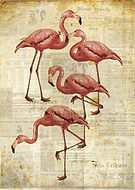 2019-03-15/476b345bc454e81b3ffa562433e10dea_6bcc13f7e9d2d9fdc765027078365408