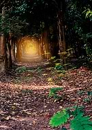 2019-03-15/54e6278d0e5634c2e305d5498600c16b_68607496fa04e99fc5dc450f1a6869cc