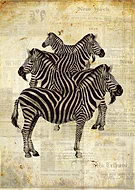 2019-03-15/870521c731adee7f84b15c79a2083711_405ad4851c49d9d5fbbf1e335f047cf1