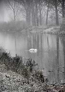 2019-03-15/af692741693d8404bb70a19d14957e22_1c05a76864fb95a45bc15afe00c16180