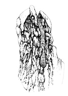 2019-03-15/e1adef03d544c9e6a530266bc823f8c1_dc663e388994ae94f549d2759112e31a