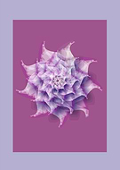 2019-03-16/f0ae5114040da458165bd0e762140809_126bf0803d2042429ce87922927baa19