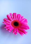 2019-03-17/0241f101ff20b1f195984cdfa452bd0e_4fd80e0fb3d74ecf47f1f0e157bc818d