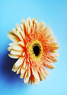 2019-03-17/88ccc2ae9163de3ea2f3bef63ad2b78e_e70267f8c25c83694dea8089aa99519c