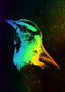 2019-03-18/fe2235ac1304c07aca4653bae535069b_19811fdbf9ab0b78e09fa998fc14f183