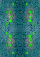 2019-03-19/060c68f07f0140a94c3f3c85464fb85b_2433d329cad6e920e0bf8e9a767f0f4d