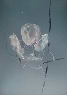 2019-03-19/37f9d3e18195a8e9f6f3e76f96d225ec_4651fe428fe41d9d880f7ea34c212e86