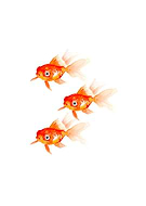 2019-03-19/b3fa9d375b4a6f0ee3e2827fb05b836a_3d0767fb5000f02ab9a33f022aaba5f9